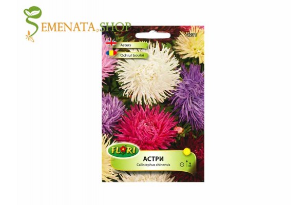 Семена на кралски Астри микс високи до 70 см